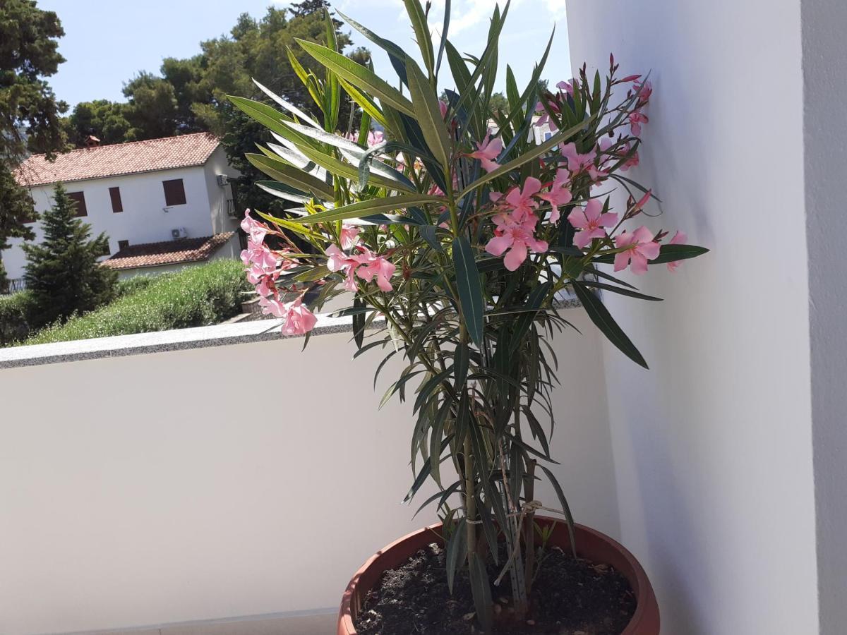Apartmani Miletić Jelsa  Dış mekan fotoğraf